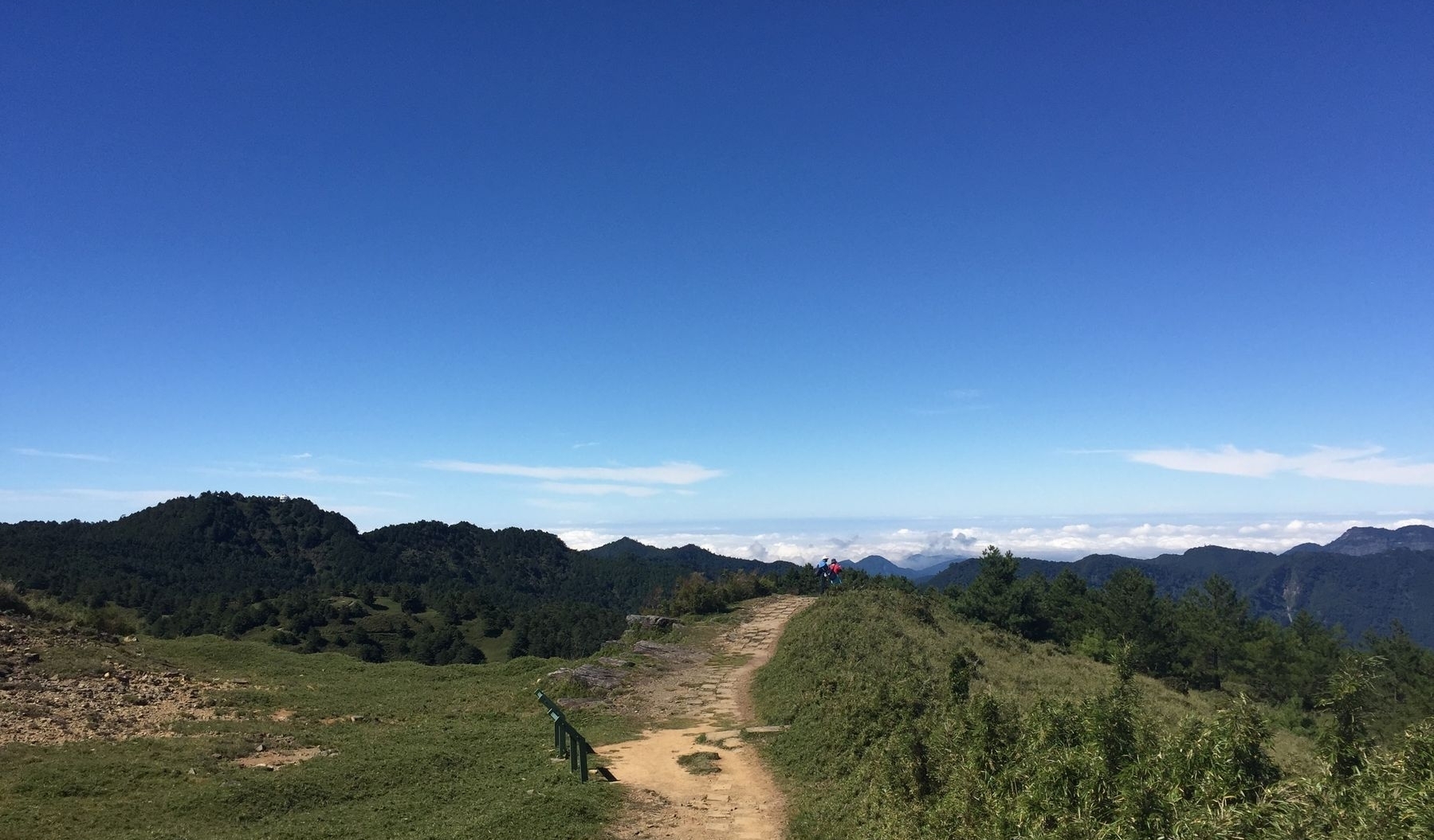 Yushan National Park-Lulin & Linzhi Mountain