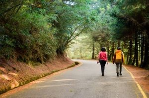 玉山登山林道