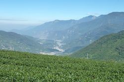 新中橫景觀公路 山