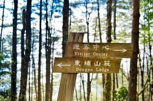 新中橫公路 塔塔加 新中橫公路 塔塔加