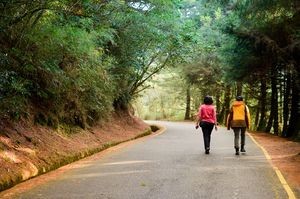 往玉山登山口道路