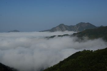 阿里山雲海